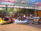 p1292150813(1).jpg