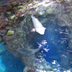 Boston 2008 176.JPG