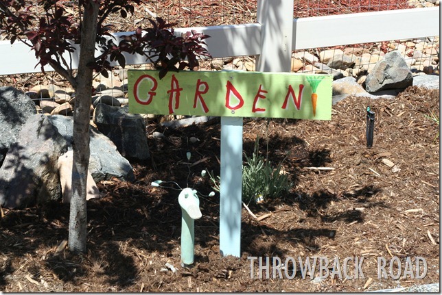 garden decoration 017