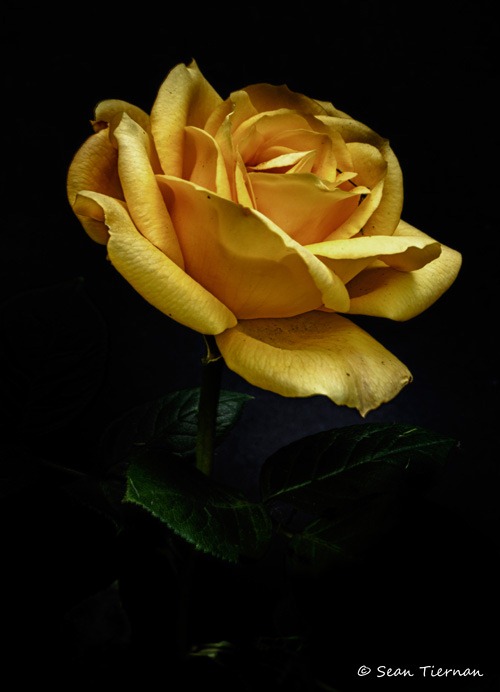 [IMG_3859_HDR_500%255B4%255D.jpg]