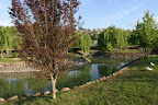 p1245210776(1).jpg