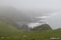 IMG_9301.JPG Photo