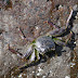 P1270944