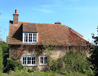 Tadpoles, October 2007