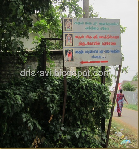 IMG_0145 IMG_0145