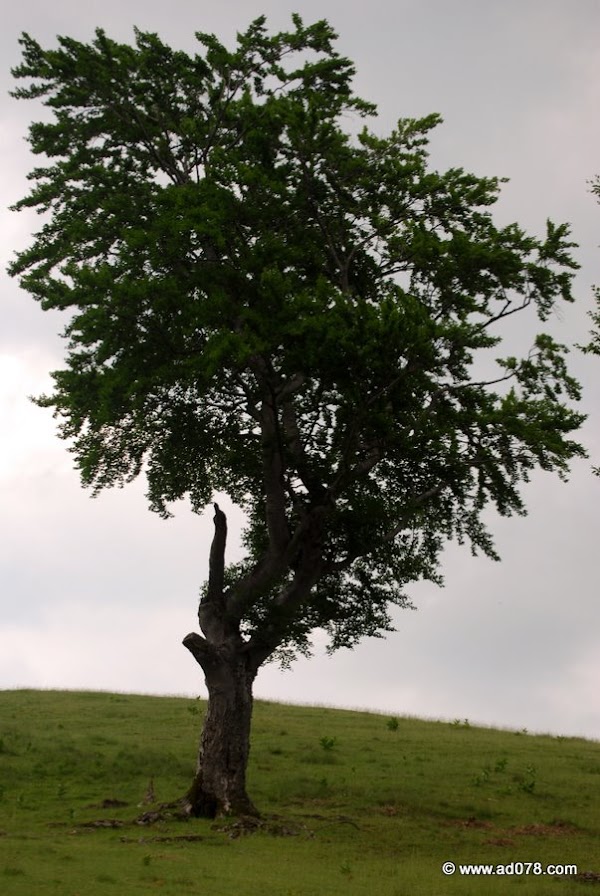 84.jpg