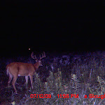 MDGC0033.JPG