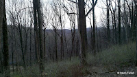 2011-04-07_19-08-29_326.jpg