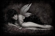 Flight Of Crafty Angel
