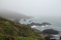 IMG_9266.JPG Photo