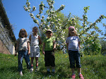 26.04.09 033.JPG