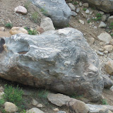 IMG_7867.JPG