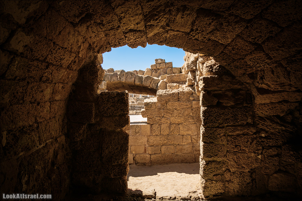 Кейсария обычная