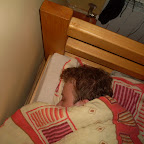 SDC12681.JPG