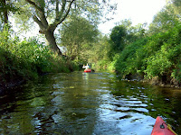 DSC07160.JPG Photo