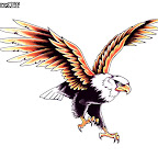 eagle-56.jpg