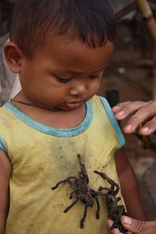 [spider-food-cambodia-6%255B2%255D.jpg]
