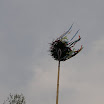 P1010169.JPG