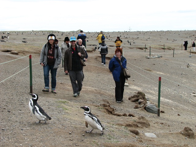 [IMG_2369%255B7%255D.jpg]