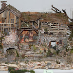 IMG_0833.jpg
