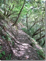 Rainey Fall Trail