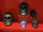 IMG_9009.JPG