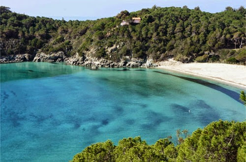 Isola-d'Elba-Fetovaia Isola d'Elba spiaggia di Fetovaia