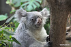 DSC_0312.JPG