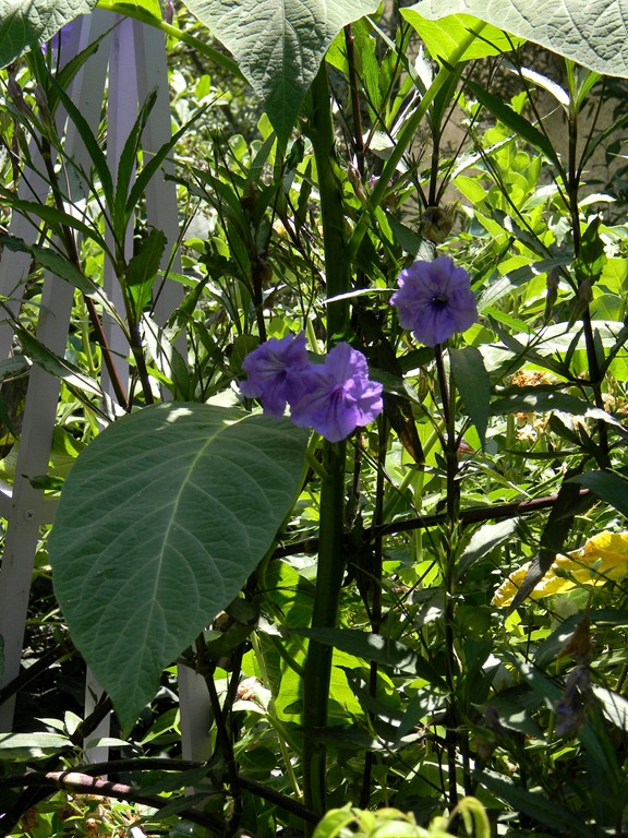 [DSCN8759-1%255B3%255D.jpg]
