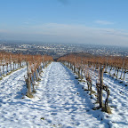 08 - Vienna from afar.jpg