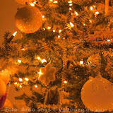 2012.12.01 Kuldpal...