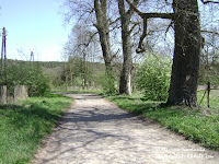 dsc06281.jpg