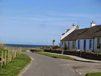 IMG_2577 IMG_2577
