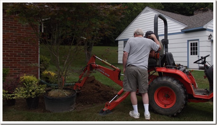 landscaping front planted 010