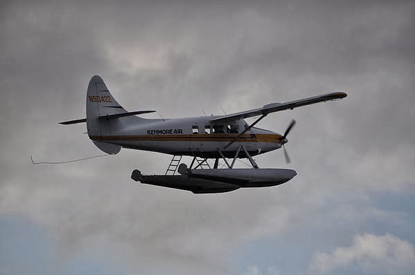 DSC_3598.JPG DSC_3598.JPG