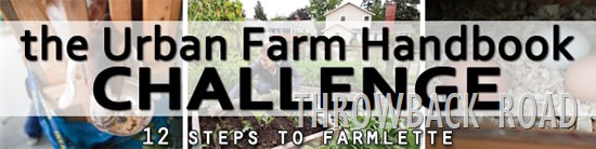 [urban-farm-handbook-challenge%255B2%255D.jpg]