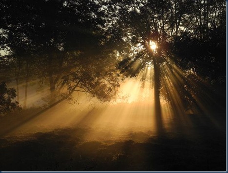 morgenstimmung