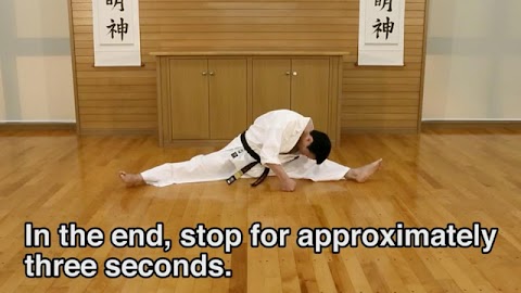 Lifelong Kyokushin Karate 09のおすすめ画像2
