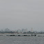 Coming into san diego port