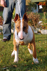 Karmacoma SUPERSTYLIN' 6 months