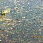 IMG_1536.JPG