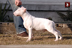 Coloroco ROCK SUPERSTAR 3 months