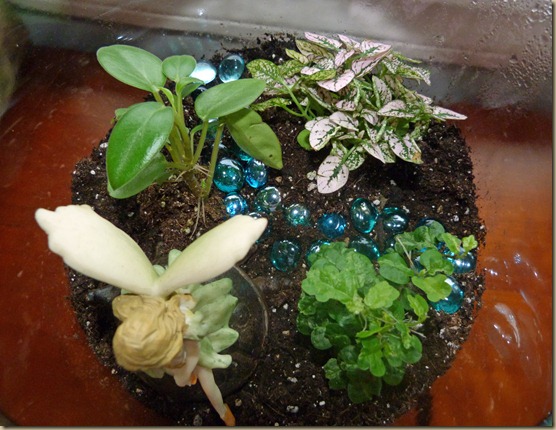 Terrarium - Take 2 - 3