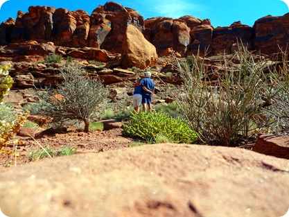 looking at red rock