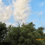 IMG_8169.JPG