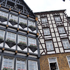 DSC_0250.jpg