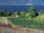 Sprachaufenthalt Kelowna