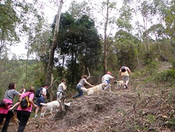 [Trekking%25202%2520%252844%2529%255B4%255D.jpg]