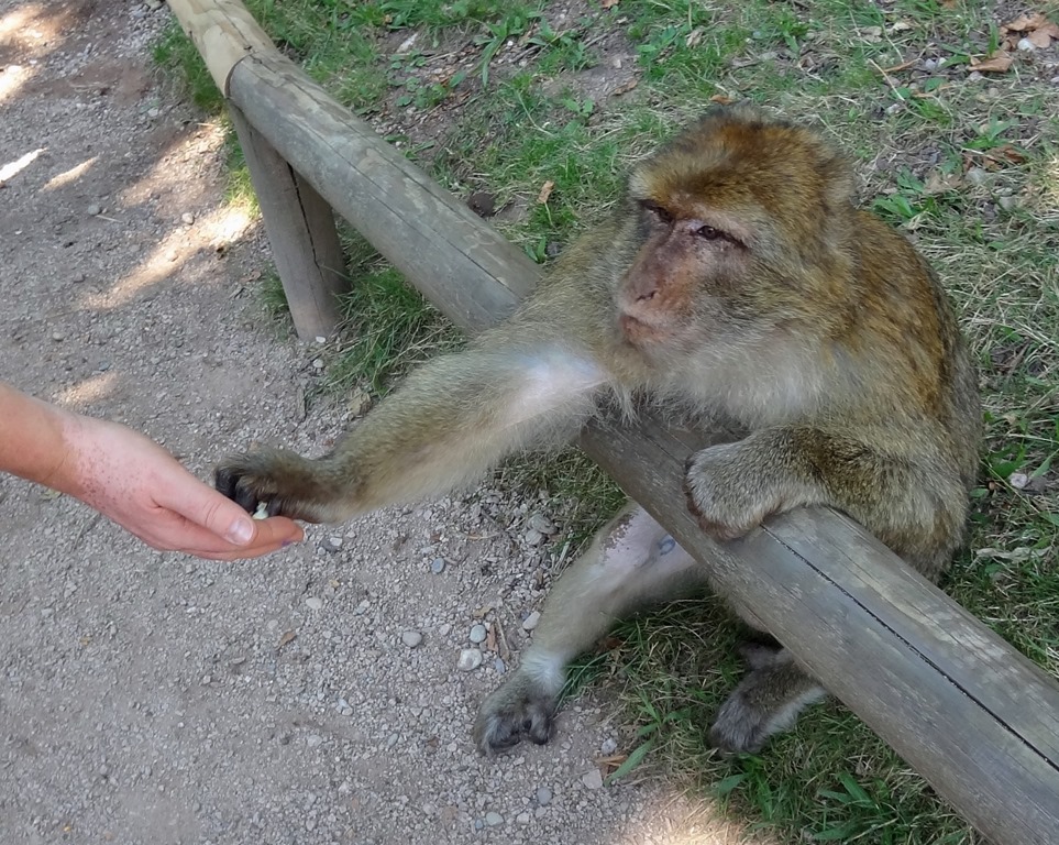 [DSC09701%2520%25281300x1037%2529%255B7%255D.jpg]