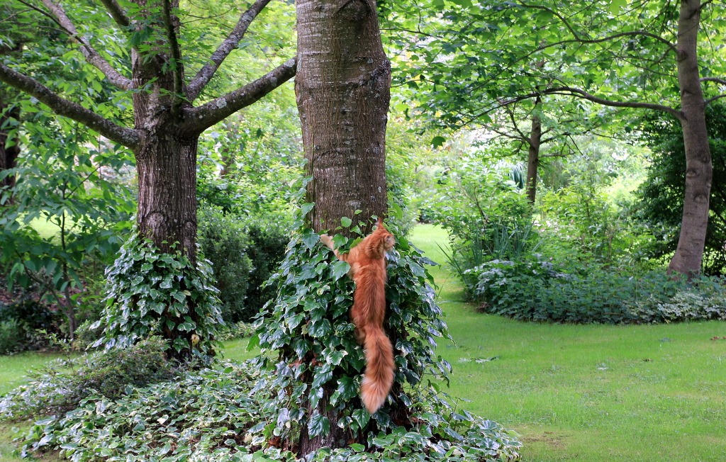 [IMG_3451%255B3%255D.jpg]